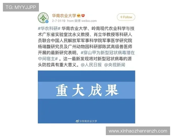 云顶公司是不是传销：专家解读云顶公司是否合法经营及是否涉嫌传销行为