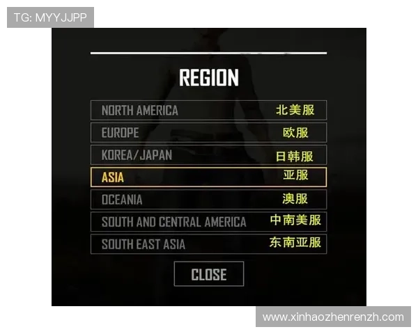 云顶平台入口常见故障排查指南，快速解决登录过程中遇到的问题